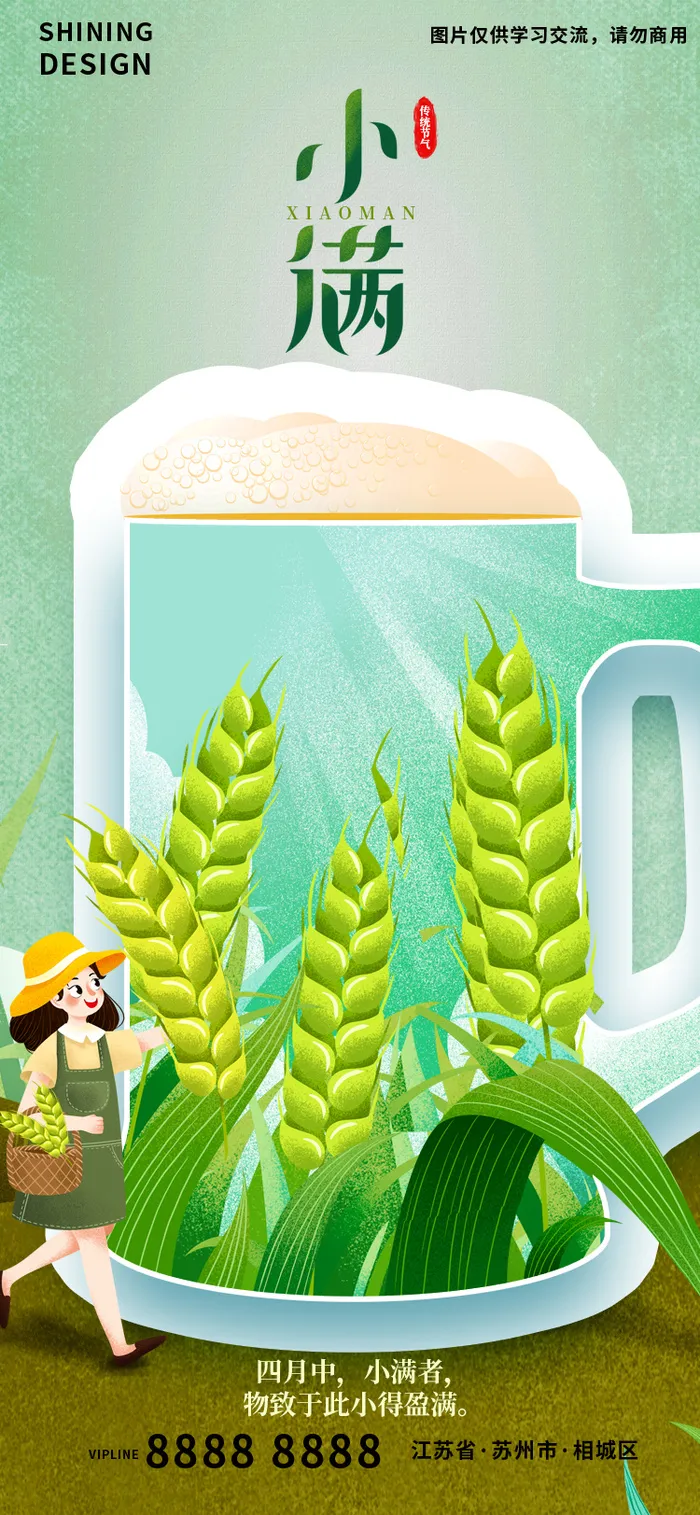 麦穗小麦啤酒手绘插画小满节气海报