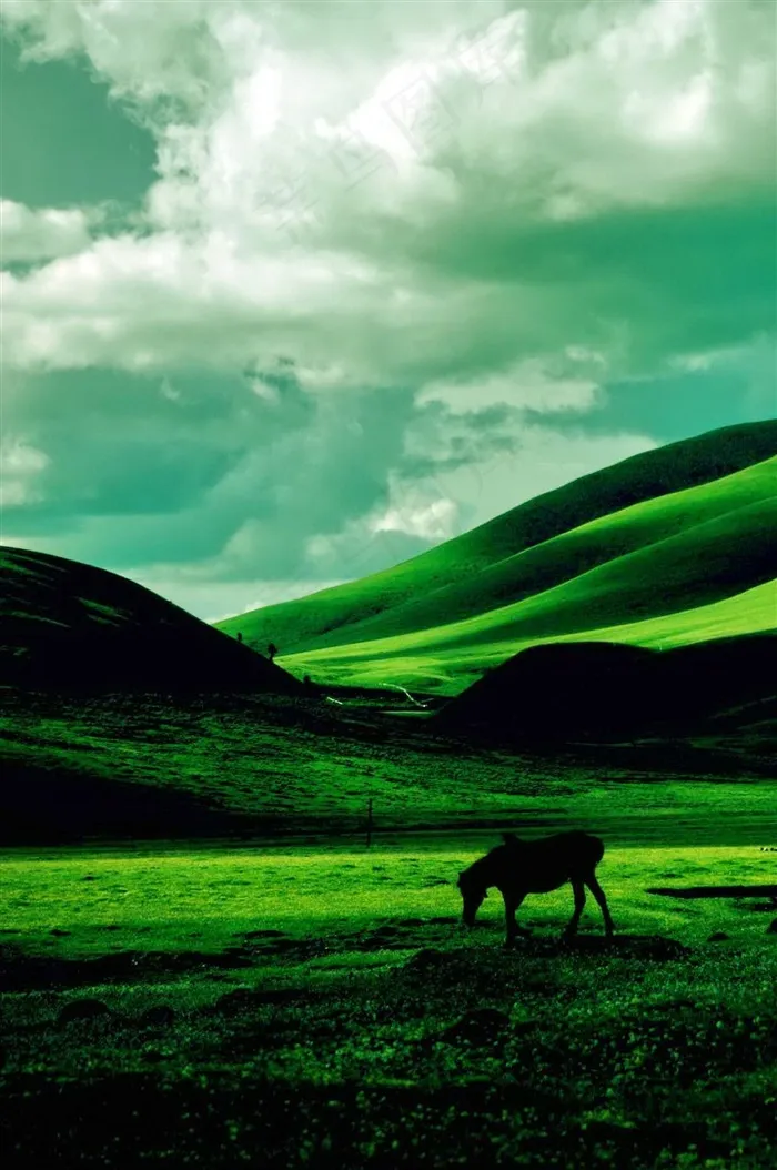 西藏龙灯草原植被茂密的远山