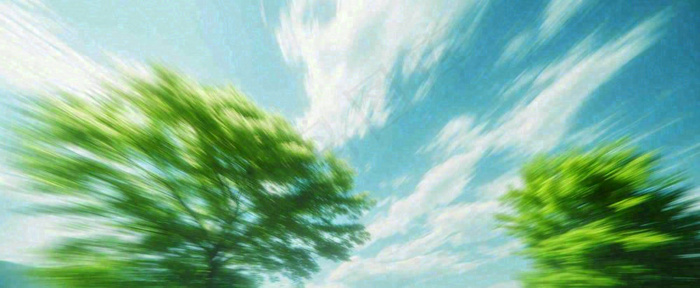 高山模糊绿树植物光影，大自然摄影图