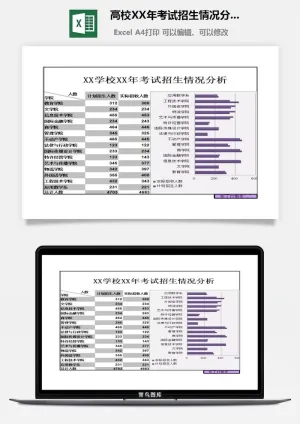高校XX年考试招生情况分析excel模板预览图