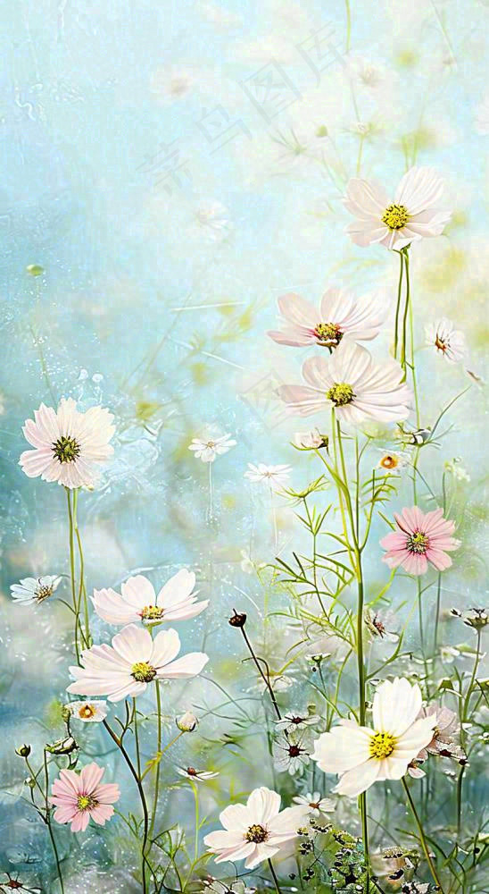 春天清新白色花朵温馨，蓝色朦胧，立春惊蛰春分摄影图