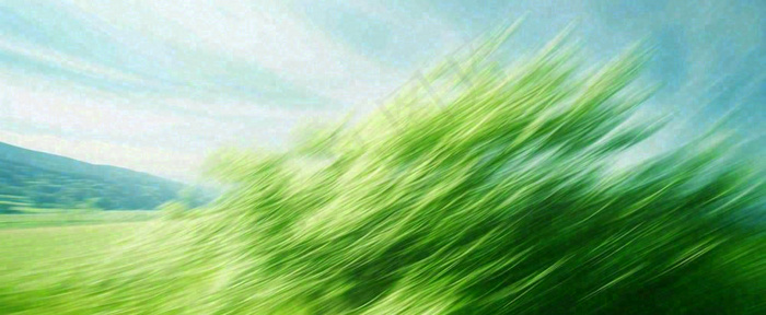 高山模糊绿树植物光影，大自然摄影图