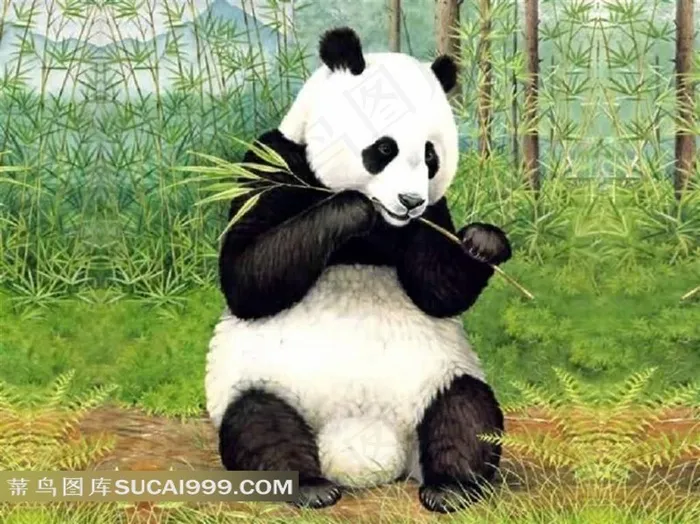 高清大熊猫吃竹子图片