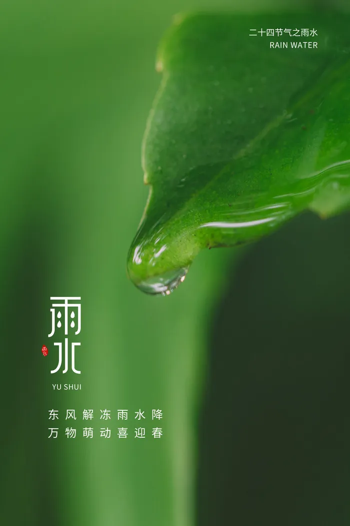 谷雨绿色海报