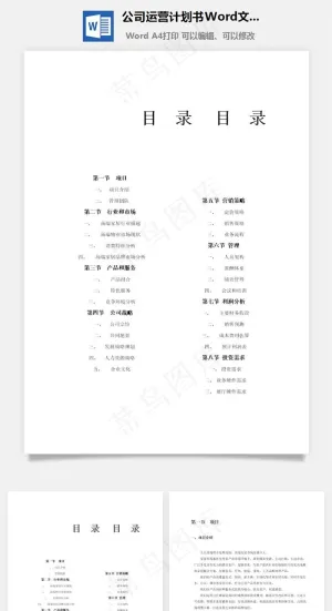 公司运营计划书Word文档预览图