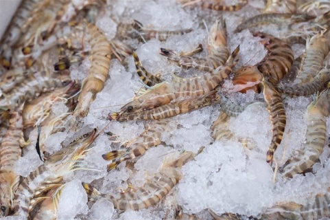 海鲜水产生鲜冻库冻货名片图片cdr矢量模版下载