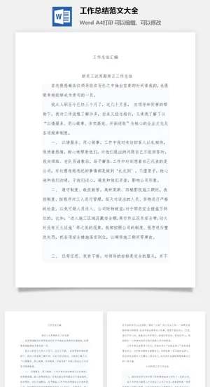 工作总结范文大全word模板预览图
