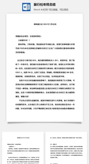 旅行社年终总结word模板预览图