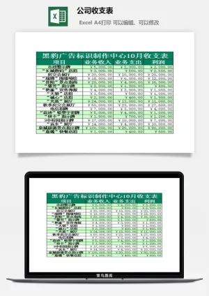 公司收支表excel模板预览图