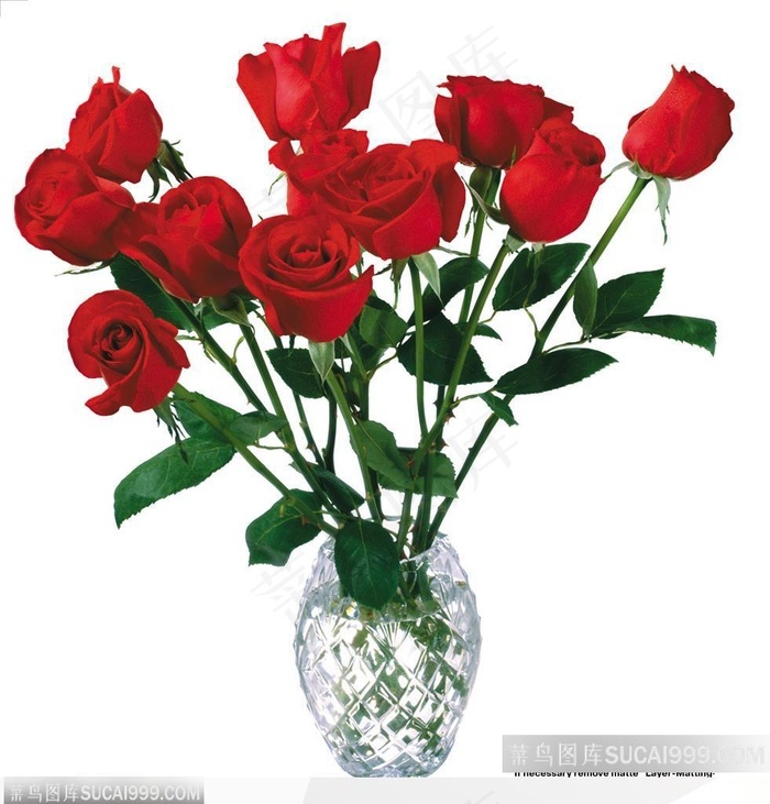 玫瑰花束 花瓶内散开的玫瑰花 菜鸟图库