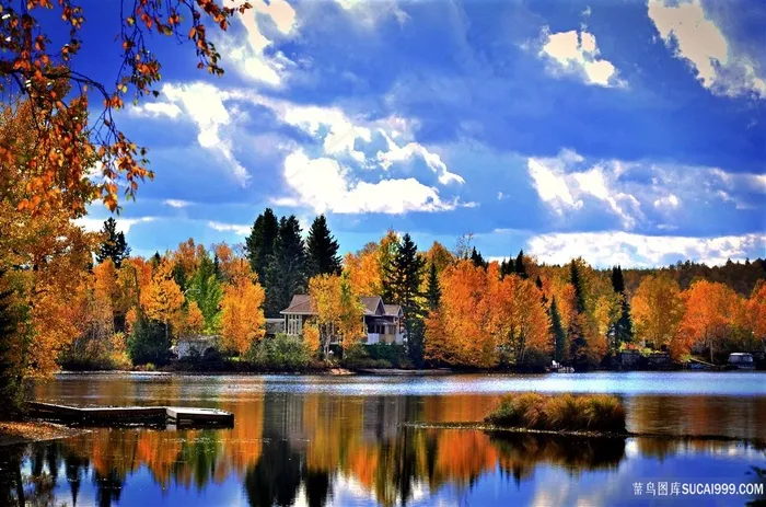 蓝天白云秋季湖泊树林风光图片
