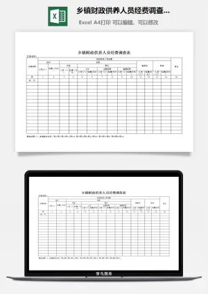 乡镇财政供养人员经费调查表excel模板预览图