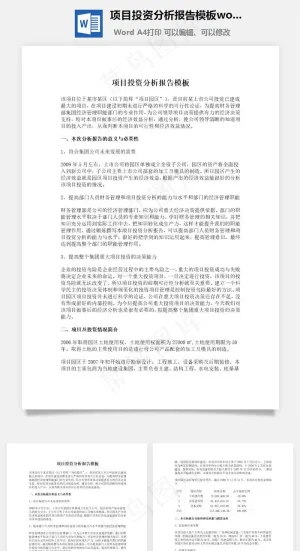 项目投资分析报告模板word文档预览图