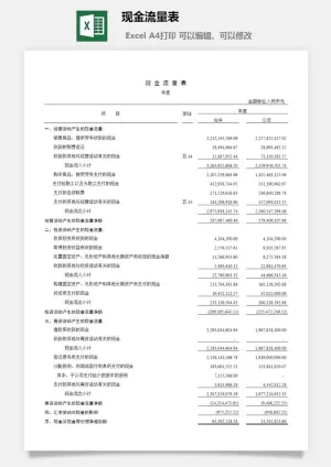 现金流量表excel模板预览图