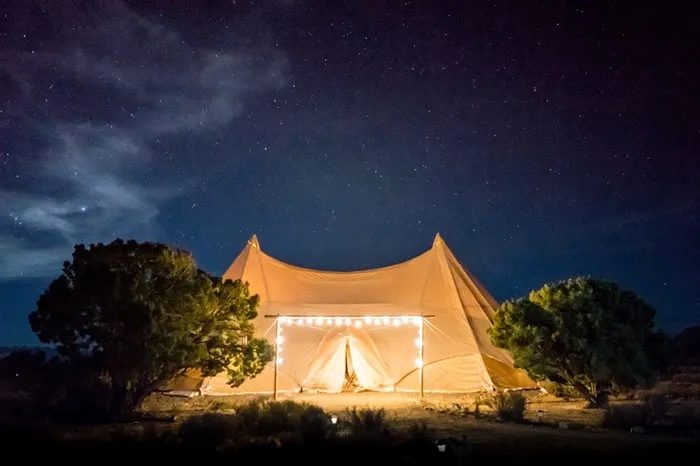 大树旁的野营帐篷高清图片