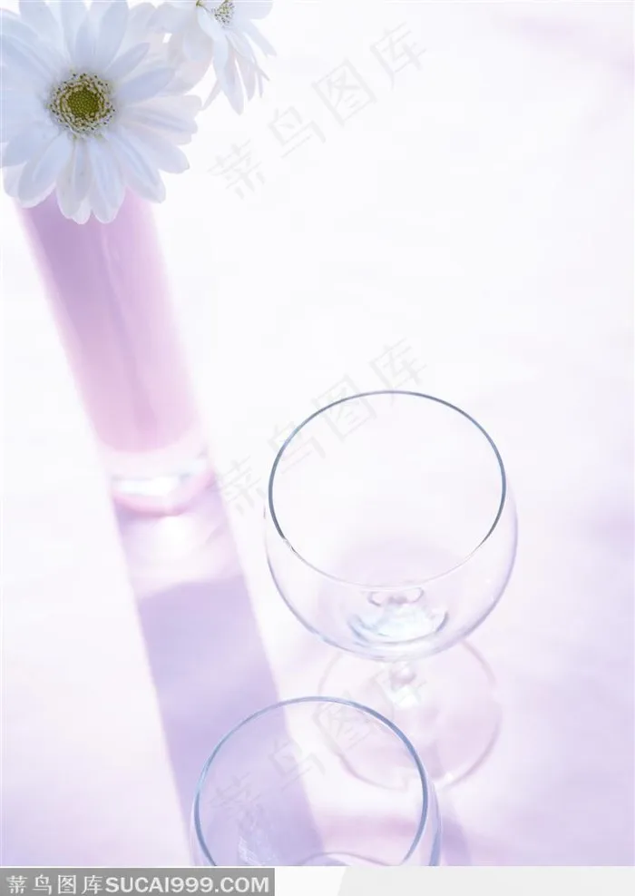插着白色菊花的玻璃杯和两只玻璃酒杯