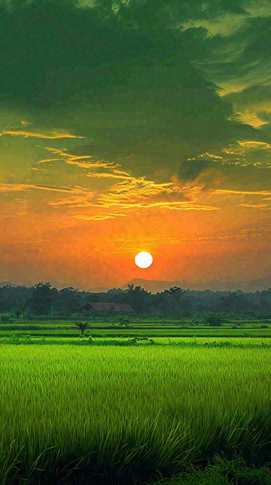 春天落日温馨稻草水稻农田种植，小满芒种摄影图
