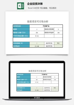 企业投资决策excel模板预览图