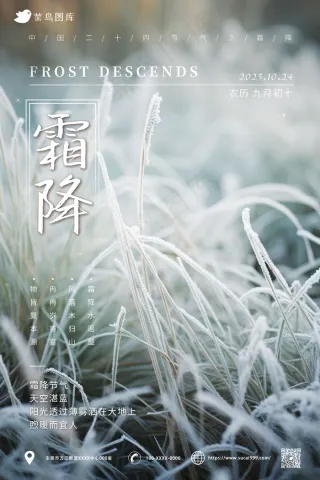 结霜草地  霜降海报