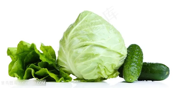 绿色有机蔬菜高清图片蔬菜图片