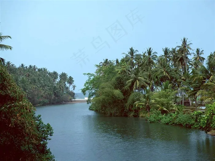 椰林河水风景图片