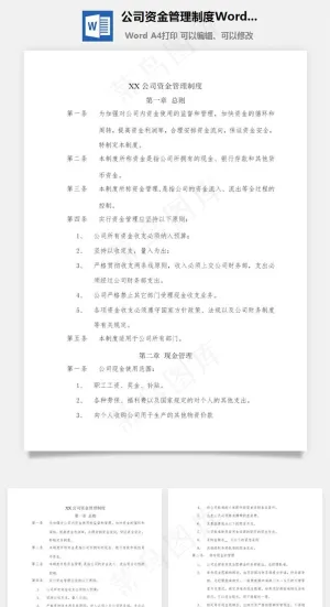 公司资金管理制度Word文档预览图