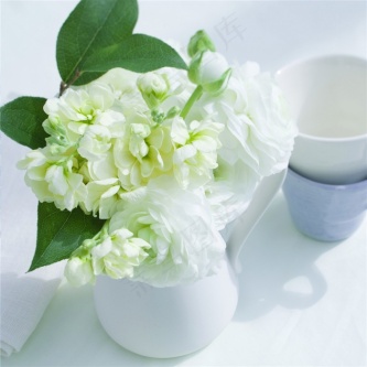 复古淡雅花卉背景图片 - 菜鸟图库