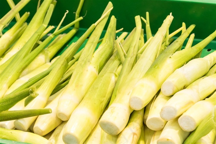 新鲜茭白图片