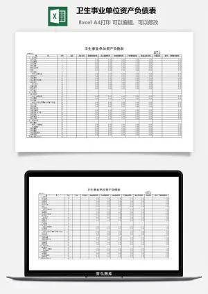 卫生事业单位资产负债表excel模板预览图