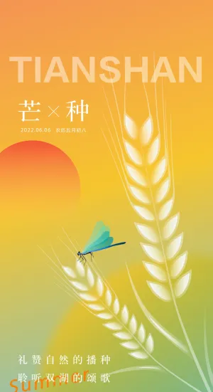 中国传统24节气芒种微信宣传海报