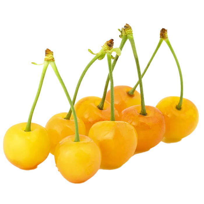 13黄樱桃 (3)水果超市商品白底图免抠实物摄影png格式图片透明底