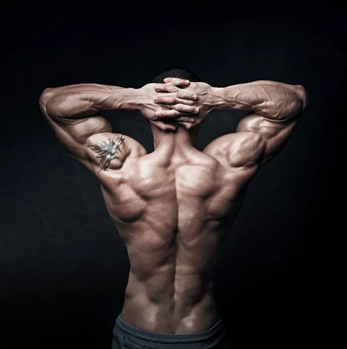 全身肌肉的男性背部高清摄影图男人图片