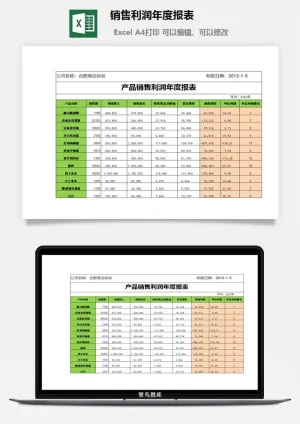 销售利润年度报表excel模板预览图