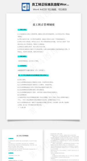 员工转正标准及流程Word文档预览图