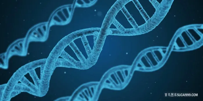 医学科技DNA双螺旋图片