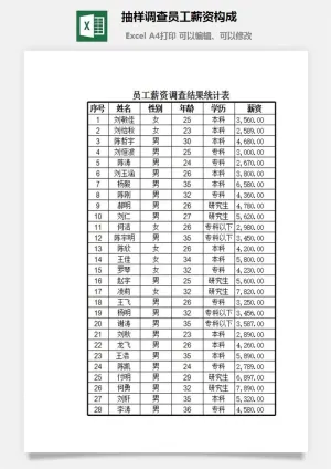 抽样调查员工薪资构成excel模板预览图