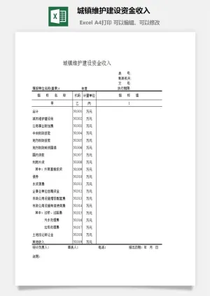 城镇维护建设资金收入excel模板预览图