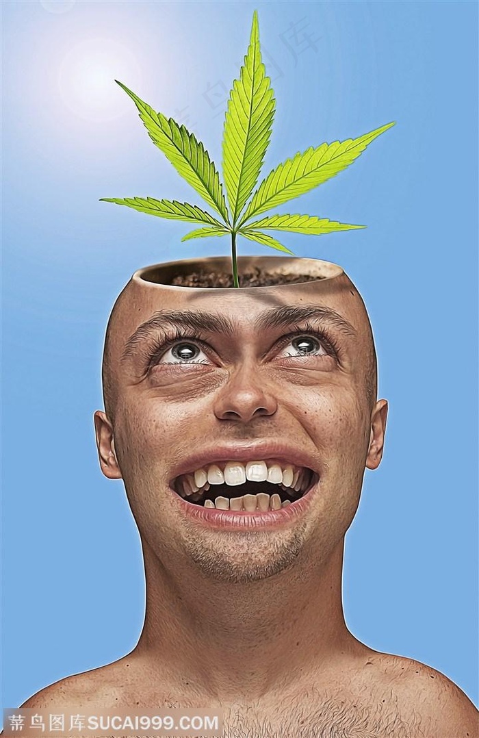 创意脑袋里长出叶子图片 - 菜鸟图库