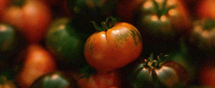 蔬菜西兰花西红柿番茄摄影摄影图