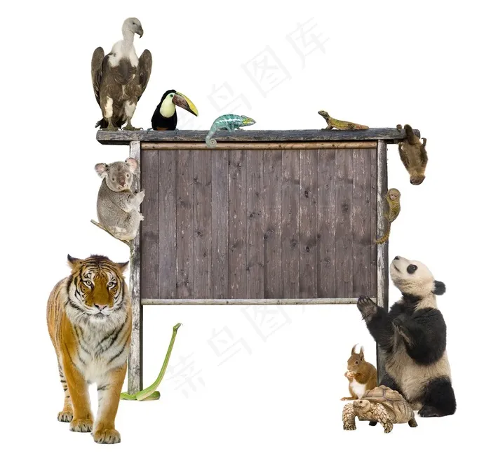 各种野生小动物和木质告示牌高清图片动物大全