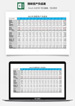 预算资产负债表excel模板预览图