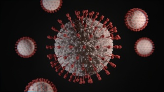 新型冠状病毒结构图片