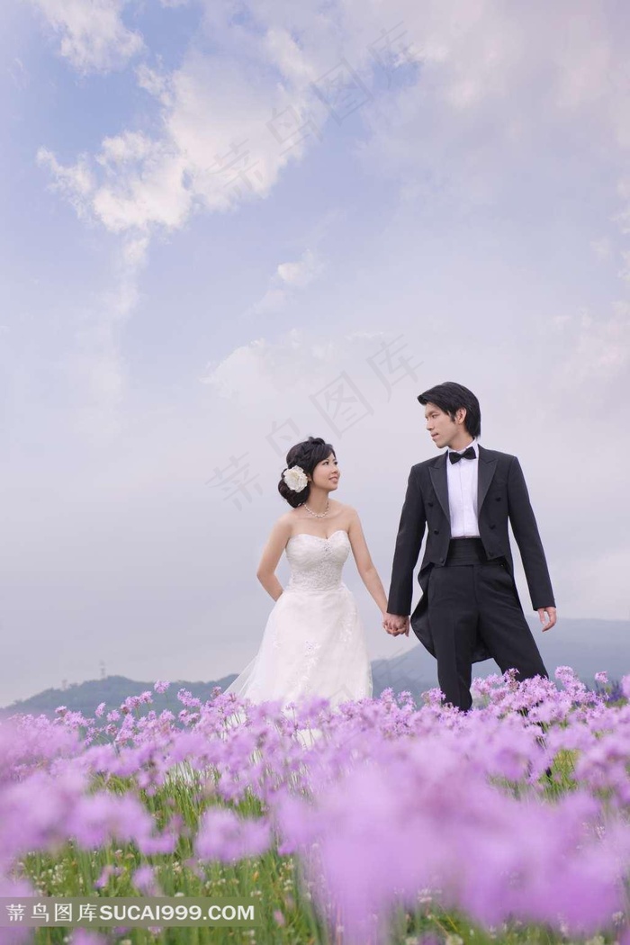 薰衣草花园中牵手的白色婚纱情侣摄影写真 
