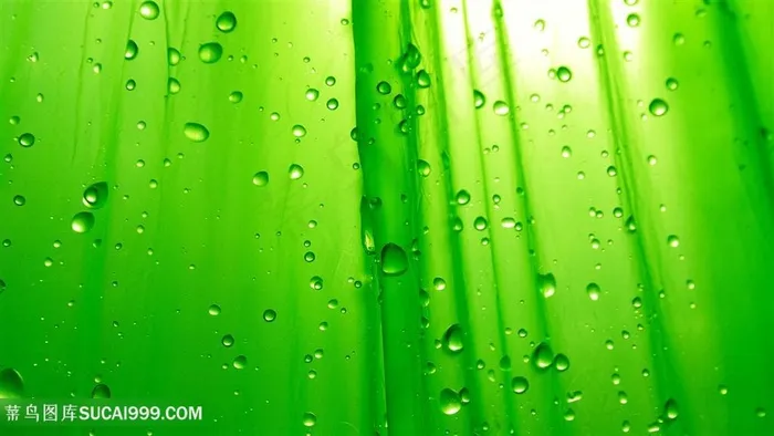 绿色水滴时尚壁纸