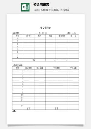 资金周报表excel模板预览图