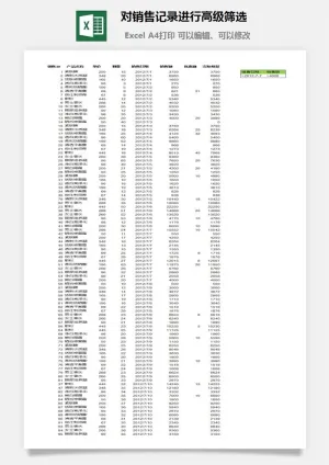 对销售记录进行高级筛选excel模板预览图