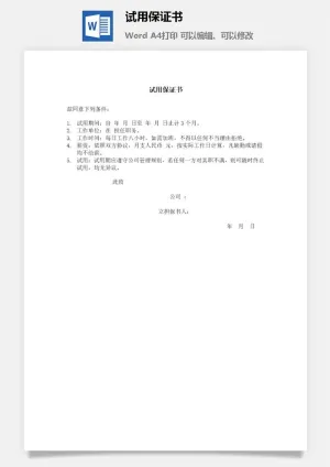 试用保证书word模板预览图