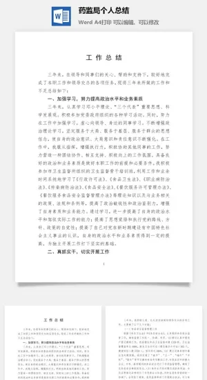 药监局个人总结word模板预览图