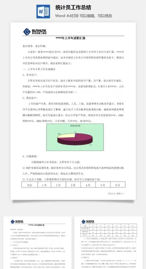 统计员工作总结word模板预览图