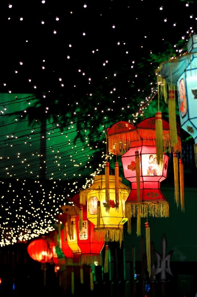 夜晚唯美元宵花灯高清图片 - 菜鸟图库